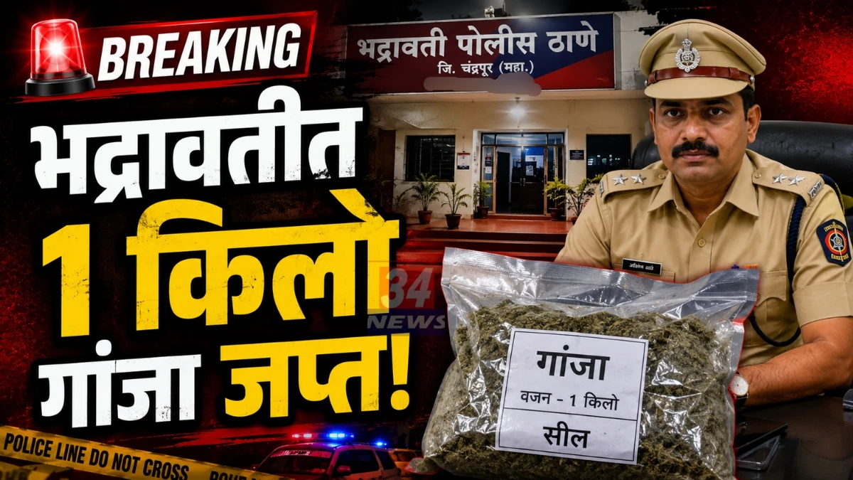 Police Ganja Raid - भद्रावती पोलिसांची गांजा जप्ती कारवाई