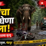 सावलीतील व्याहाड–सोनापूर मार्गावर रानटी हत्तीचा भीषण हल्ला; दुचाकीस्वाराचा जागीच मृत्यू Sawali Elephant Attack नंतर व्याहाड–सोनापूर मार्गावर वनविभागाचे अधिकारी घटनास्थळी