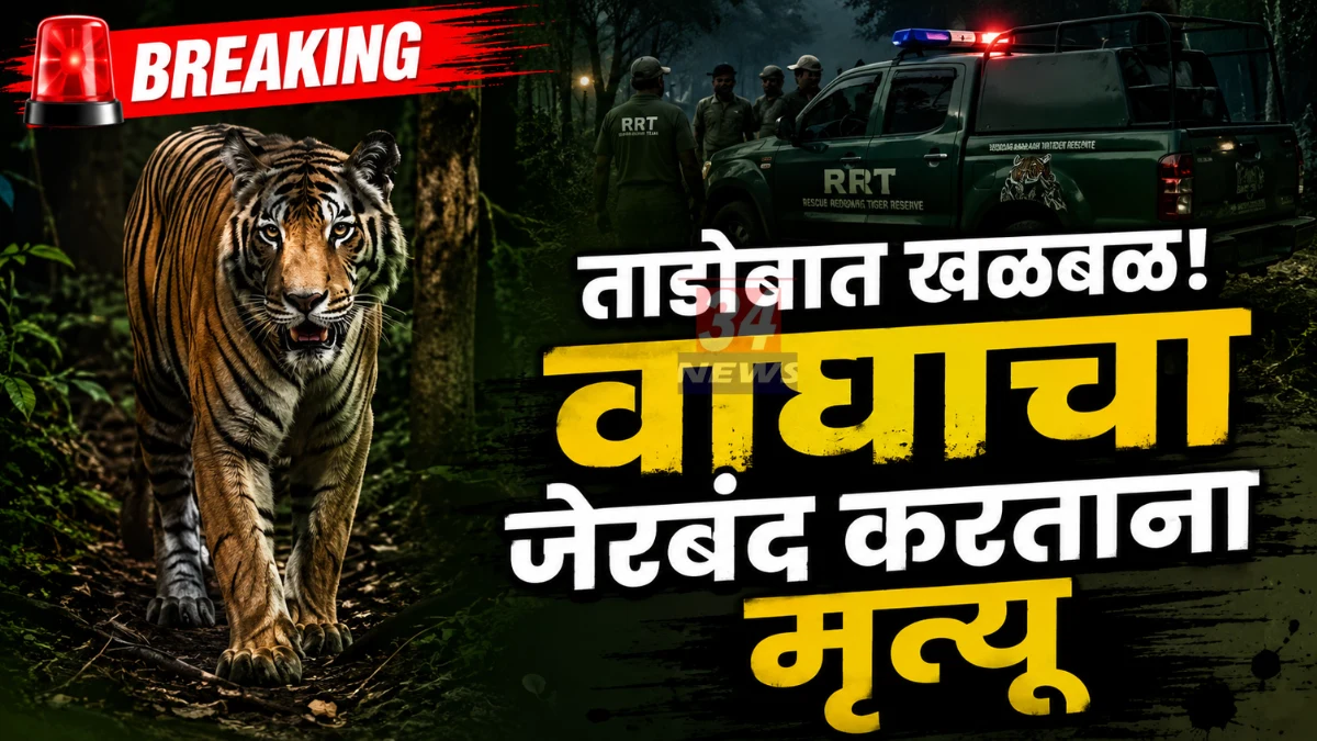 Tadoba Tiger Death Palasgaon Chandrapur