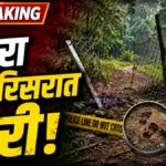 Warora Forest Theft Case वरोरा वनविभागात लोखंडी गेट आणि सिमेंट खांब चोरी