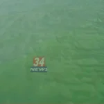 Featured image placeholder 16:9