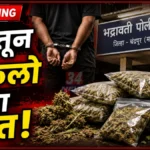 Bhadrawati Ganja Raid News Accused Arrested With Seized Narcotics