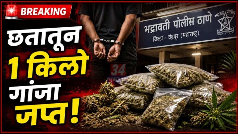 भद्रावतीत पोलिसांची मध्यरात्री छापेमारी; छताच्या गुप्त जागेत लपवलेला १ किलो गांजा जप्त