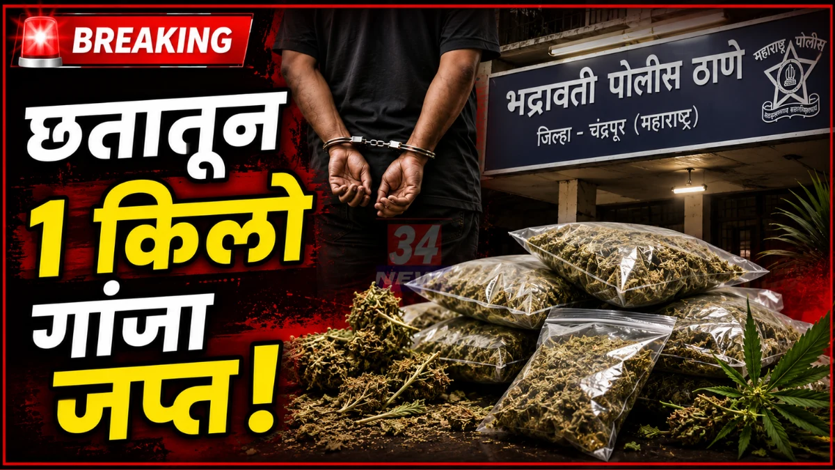 Bhadrawati Ganja Raid News Accused Arrested With Seized Narcotics