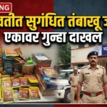 कर्करोगाचा विळखा घालणारा सुगंधित तंबाखू भद्रावतीत जप्त; सोफ्याखाली दडवला होता तंबाखू Bhadrawati Scented Tobacco Raid - भद्रावती पोलिसांची सुगंधित तंबाखूवर कारवाई