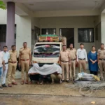 भिसी येथे कृषी पंपांच्या तारा चोरणाऱ्या आंतर-टोळीचा पर्दाफाश; ३ आरोपींना अटक Bhisi Wire Theft Case Accused Arrested By Police