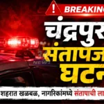 Chandrapur Ashram School Crime News - आश्रमशाळा अत्याचार प्रकरणी मनसे आंदोलन