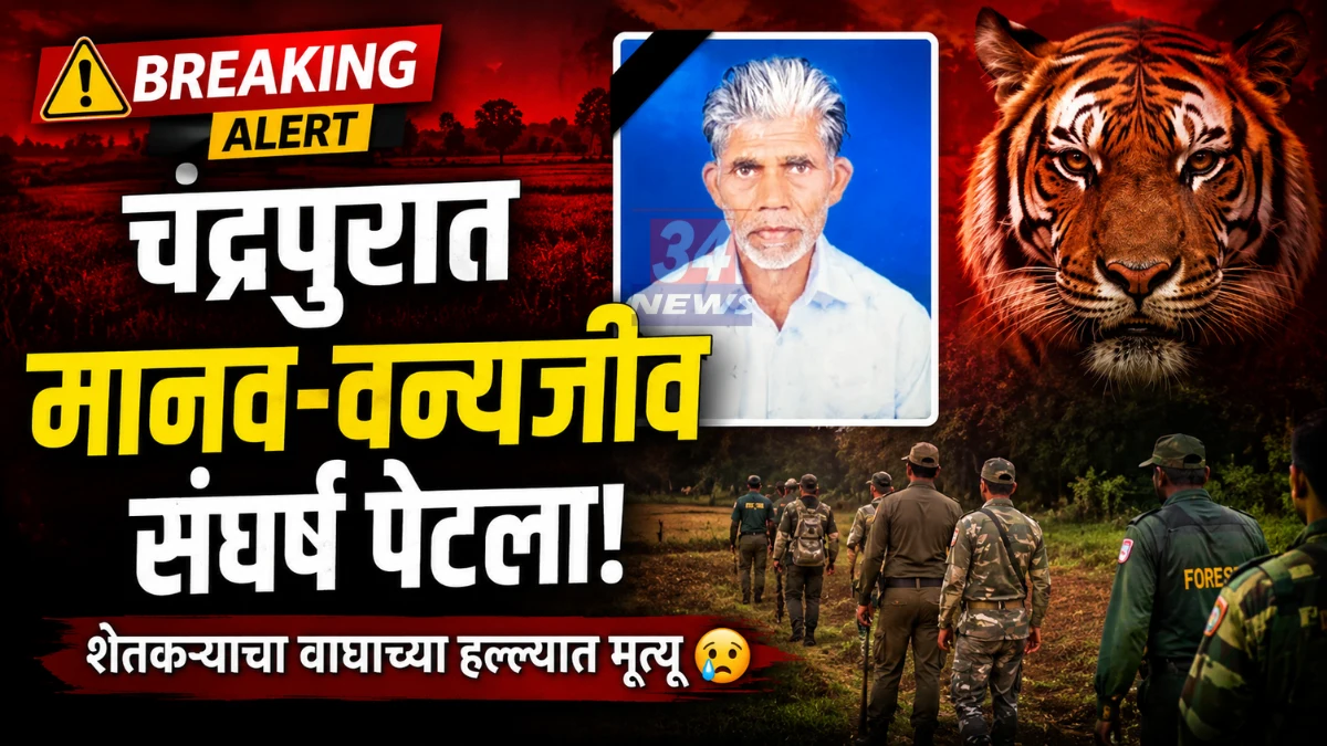 Chandrapur Man Animal Conflict Nagbhid Janakapur Incident
