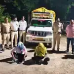 Gondpipri Crime News police seized bolero carrying illegal cattle