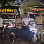 Korpana Cattle Smuggling Action by Chandrapur Police