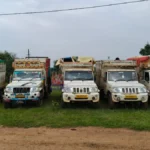 Mul Cattle Smuggling Seizure : मूल पोलिसांनी जप्त केलेली पिकअप वाहने व सुटका केलेले गोवंश