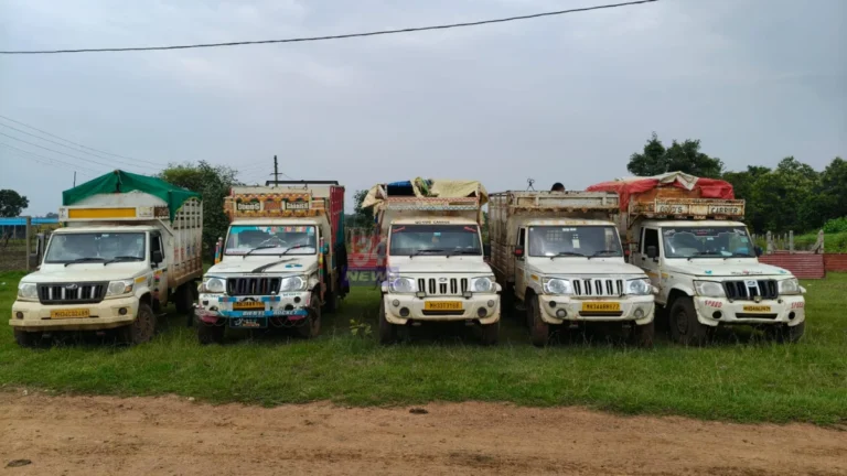 Mul Cattle Smuggling Seizure : मूल पोलिसांनी जप्त केलेली पिकअप वाहने व सुटका केलेले गोवंश
