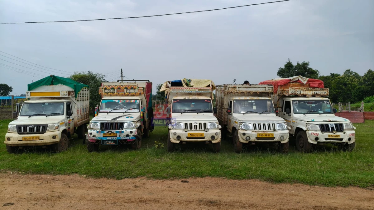 Mul Cattle Smuggling Seizure : मूल पोलिसांनी जप्त केलेली पिकअप वाहने व सुटका केलेले गोवंश