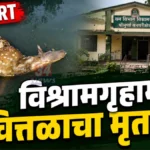 Pombhurna Forest News chital found dead in lake behind forest rest house