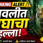Savli Tiger Attack incident at Samda forest range near Nagoba Devasthan