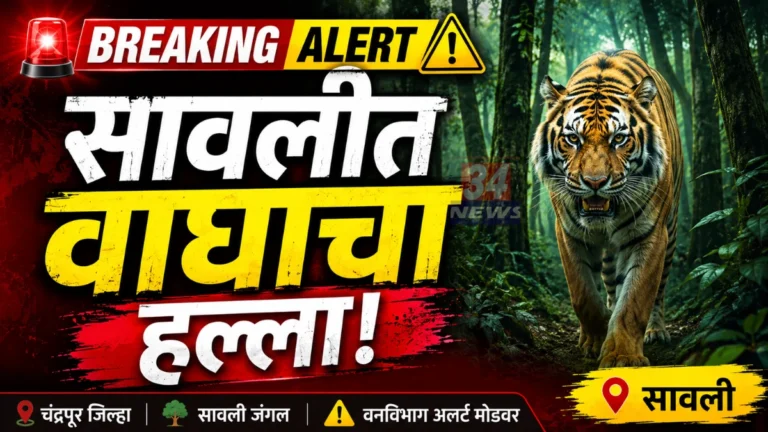 Savli Tiger Attack incident at Samda forest range near Nagoba Devasthan