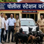 Warora Crime News police arrest goat theft accused in Chandrapur