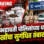 भद्रावतीमध्ये दीड लाखांचा प्रतिबंधित सुगंधित तंबाखू जप्त, दोन विक्रेत्यांवर गुन्हा दाखल Bhadrawati Tobacco Raid police seized banned tobacco and betel nut in ghadpet