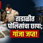 Chandrapur Crime News Padoli Police Tadali Ganja Raid Seizure
