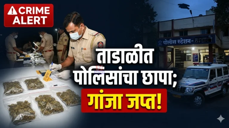 Chandrapur Crime News Padoli Police Tadali Ganja Raid Seizure