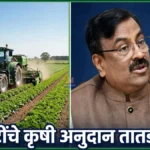 Chandrapur Farm Subsidy Pending बाबत कृषिमंत्र्यांना पत्र पाठवणारे आमदार सुधीर मुनगंटीवार
