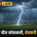 Chandrapur Lightning Strike मध्ये पोंभूर्णा तालुक्यात शेतकऱ्याचा मृत्यू