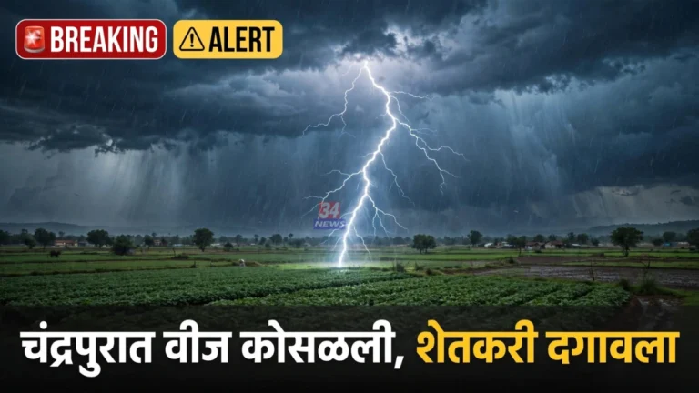 पोंभूर्णा तालुक्यात वीज कोसळून शेतकऱ्याचा मृत्यू, ब्रम्हपुरीत आठ मजूर जखमी