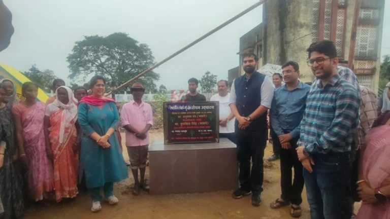 Chandrapur Swastik Pattern Plantation चंद्रपूर सिंदेवाही येथे स्वस्तिक पॅटर्न वृक्षारोपण करताना जिल्हाधिकारी वसुमना पंत