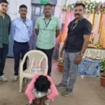 चंद्रपूर विसर्जन मिरवणुकीत हत्यार; गुन्हे शाखेच्या सतर्कतेने युवकाला अटक चंद्रपूर विसर्जन मिरवणुकीत हत्यारासह अटक करण्यात आलेला तरुण आणि जप्त मुद्देमाल