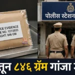 Gadchandur Ganja Seized प्रकरणातील पोलिसांची कारवाई