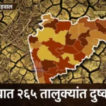 महाराष्ट्रातील ३२ जिल्ह्यांतील २६५ तालुक्यांत दुष्काळ जाहीर, शेतकऱ्यांना विविध सवलती लागू महाराष्ट्रातील दुष्काळग्रस्त जिल्ह्यांचा नकाशा दर्शवणारे Maharashtra Drought Declaration इन्फोग्राफिक