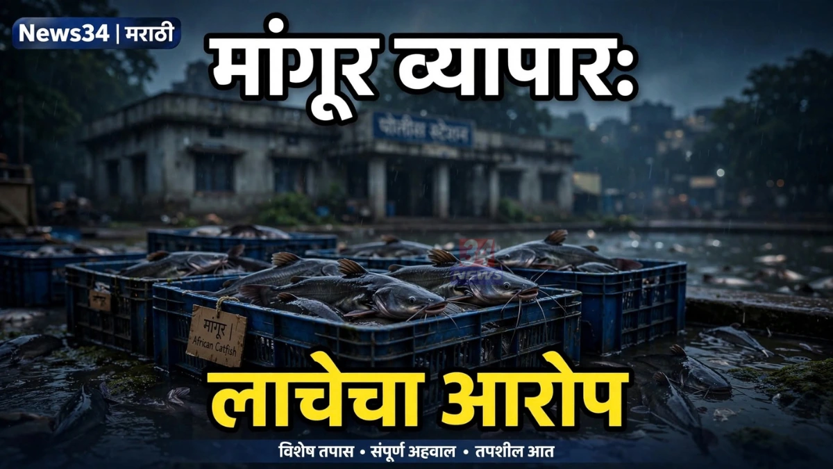 मांगूर मासे लाच प्रकरणी पोलिस चौकशीची मागणी दर्शवणारे प्रातिनिधिक छायाचित्र