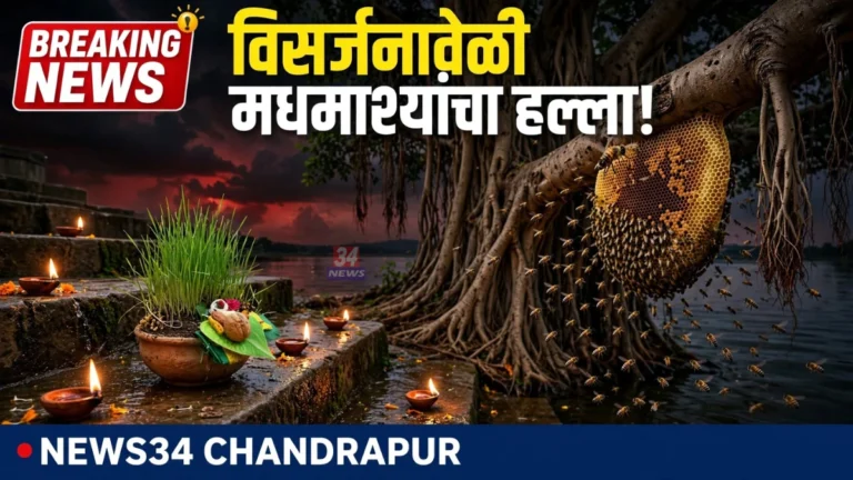 Sawali Honeybee Attack News women injured during Gauri Visarjan