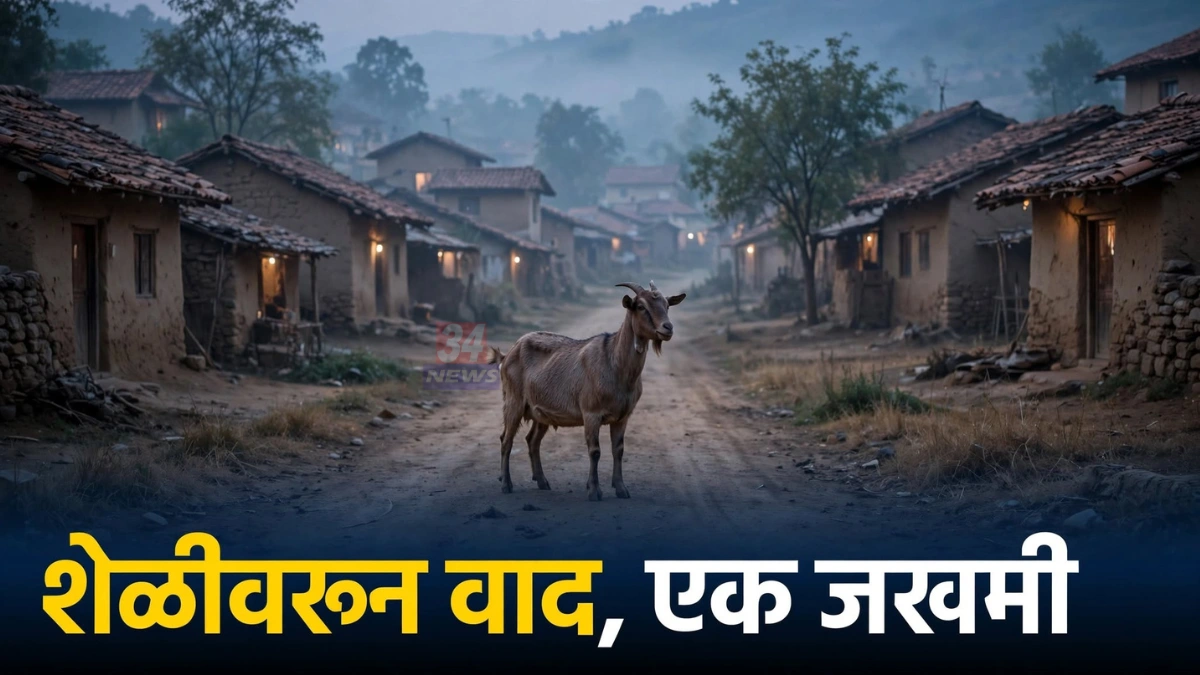 उसेगाव शेळी वाद हल्ला घटनेतील सावली तालुक्यातील गावाचे प्रातिनिधिक छायाचित्र