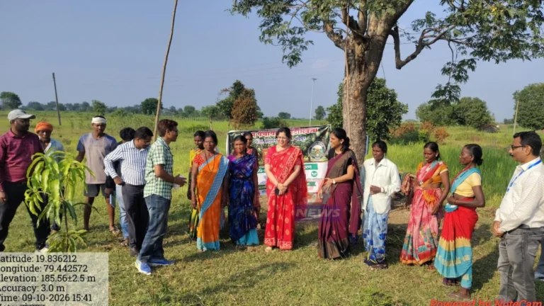 बल्लारपूर पीक नुकसान पाहणीदरम्यान जिल्हाधिकारी वसुमना पंत शेतकऱ्यांशी संवाद साधताना