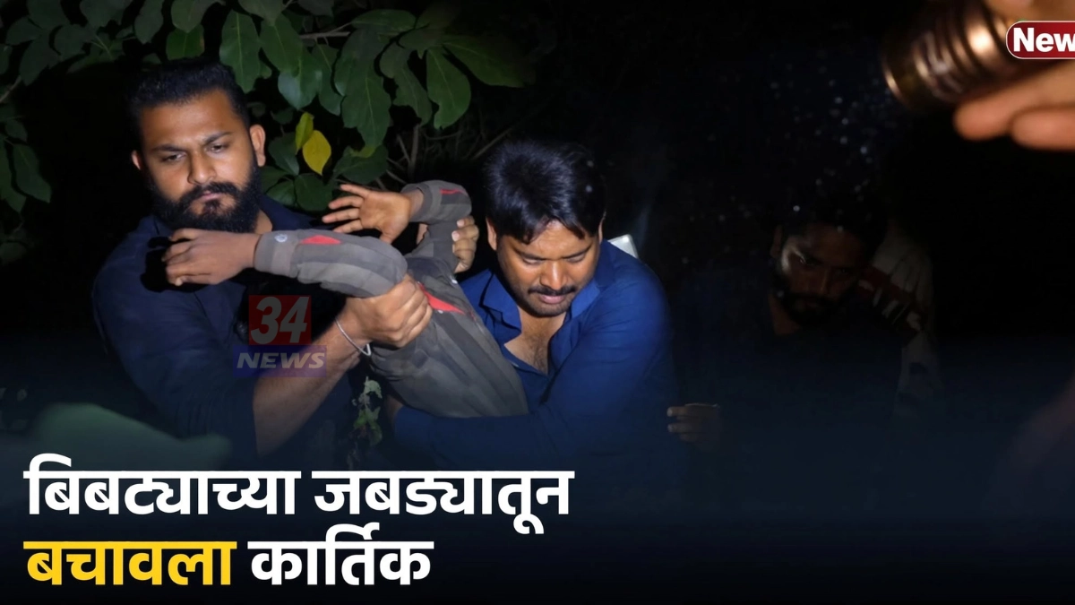 बल्लारपूर बिबट्याचा हल्ला झालेल्या विसापूर टोल नाक्याजवळील परिसर