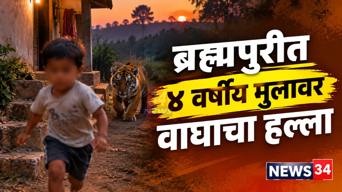 ब्रह्मपुरी वाघ हल्ला झालेल्या चांदगाव येथील घराच्या पायरीजवळचा परिसर