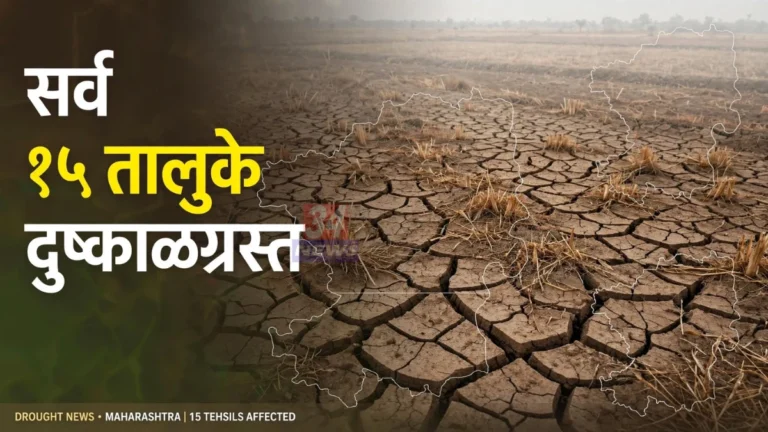 चंद्रपूर दुष्काळग्रस्त तालुके जाहीर झाल्यानंतर कोरड्या पडलेल्या शेतातील पिकाची पाहणी
