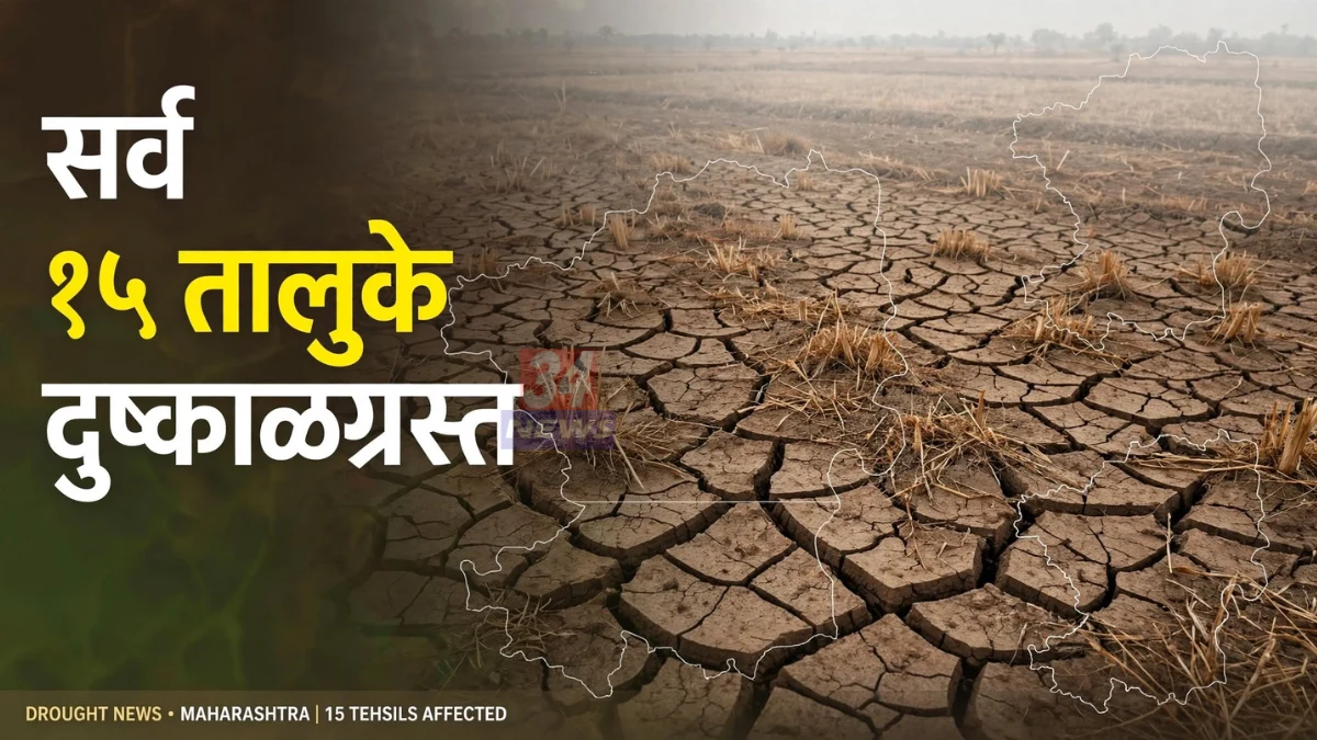 चंद्रपूर दुष्काळग्रस्त तालुके जाहीर झाल्यानंतर कोरड्या पडलेल्या शेतातील पिकाची पाहणी