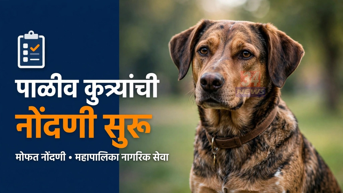 पाळीव कुत्रा नोंदणी कागदपत्रे घेऊन चंद्रपूर मनपाकडे नोंदणीचे आवाहन दर्शवणारे प्रातिनिधिक छायाचित्र