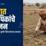 चंद्रपूर रब्बी हंगामासाठी कमी पाण्यातील पिकांचे नियोजन करणारे शेतकरी Alt Text कॉपी करा