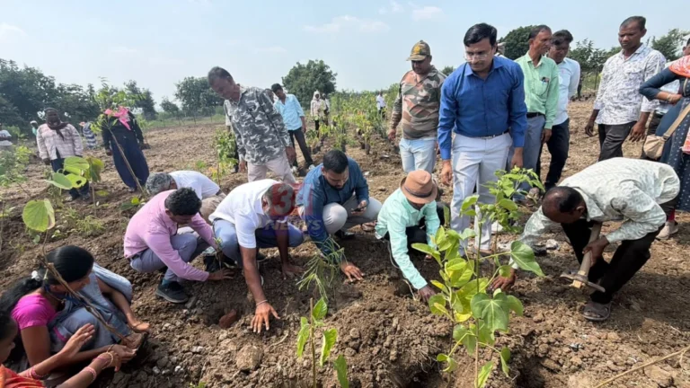 भद्रावती तालुक्यात स्वस्तिक वृक्षलागवड मोहीम शुभारंभ प्रसंगी वृक्षारोपण करताना अधिकारी