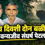 चंद्रपूर जिल्ह्यात मानव-वन्यजीव संघर्ष पेटला! एकाच दिवशी दोन शेतकऱ्यांचा मृत्यू चंद्रपूर वाघ हल्ला घटनेनंतर चिमूर तालुक्यात पाहणी करताना वनविभागाचे कर्मचारी