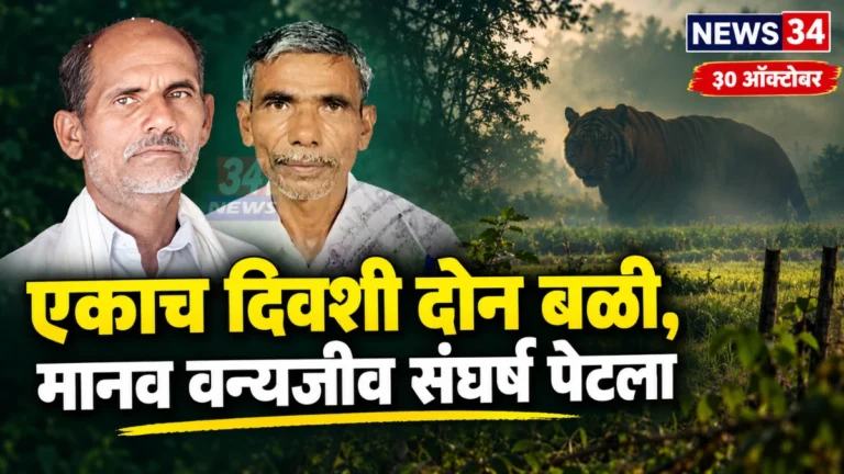 चंद्रपूर वाघ हल्ला घटनेनंतर चिमूर तालुक्यात पाहणी करताना वनविभागाचे कर्मचारी
