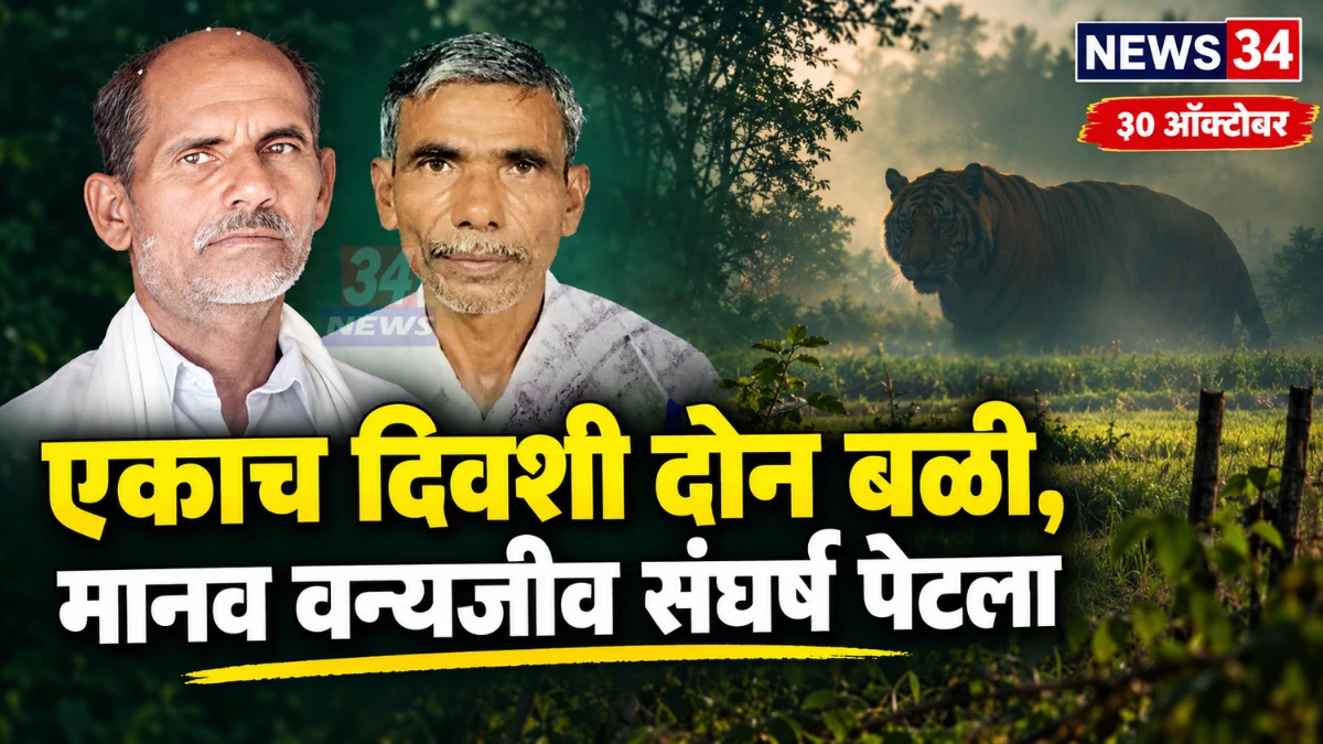चंद्रपूर वाघ हल्ला घटनेनंतर चिमूर तालुक्यात पाहणी करताना वनविभागाचे कर्मचारी