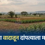 खुटाळा येथे शेतीच्या वादातून मारहाण झाल्यानंतर तक्रार नोंदवलेले चिमूर पोलीस ठाणे