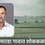 नापिकीचे संकट : चंद्रपूर जिल्ह्यातील शेतकरी चिंतेत मारडा शेतकरी आत्महत्या : चंद्रपूर जिल्ह्यातील शेतीचे प्रातिनिधिक छायाचित्र