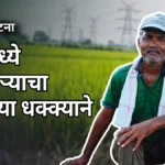 मूल शेतकरी विजेचा धक्का घटनेनंतर शेतातील भातपीक (प्रतिकात्मक छायाचित्र)