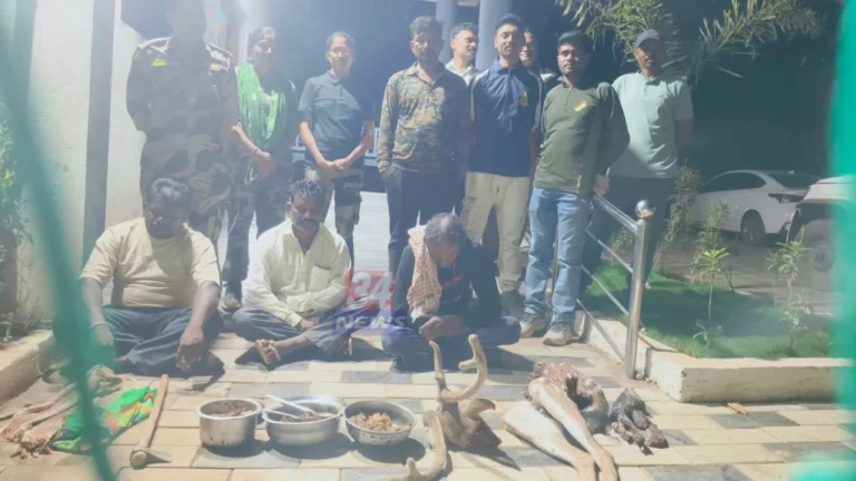राजुरा वनक्षेत्रातील चितळाची शिकार प्रकरण