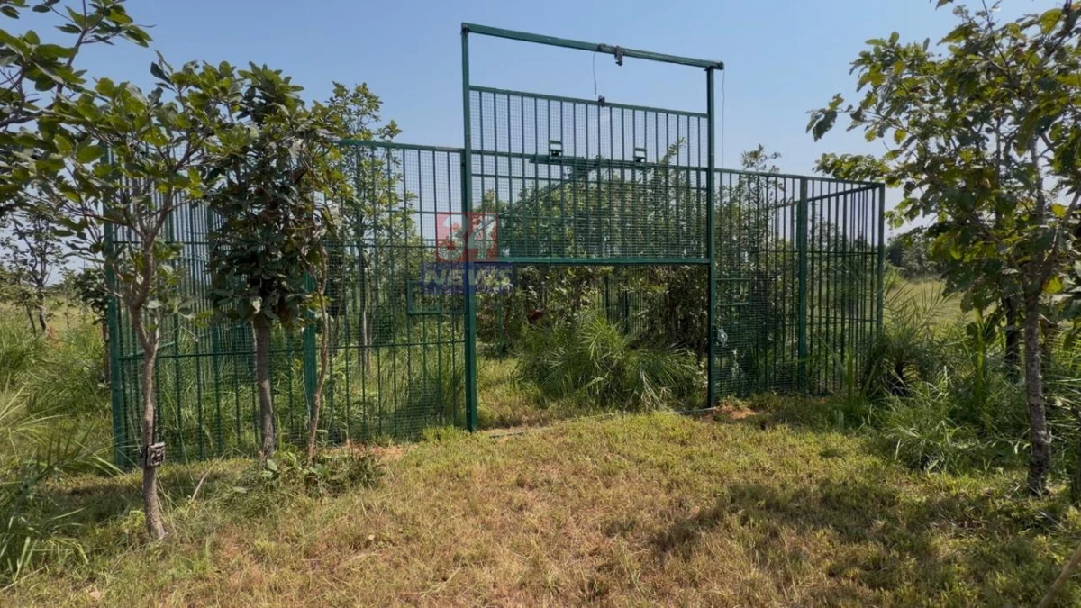 सावली नरभक्षक वाघाला पकडण्यासाठी सामदा परिसरात बसवलेला पिंजरा